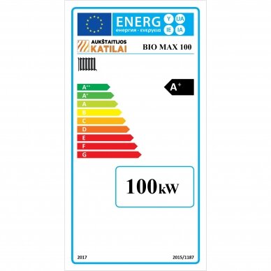 Pramoninis kieto kuro katilas Bio Max 100kW 3